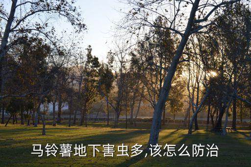 土豆噴灑什么農藥好呢,桃樹噴灑什么農藥