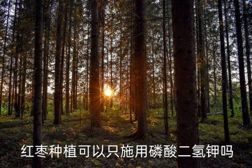  紅棗種植可以只施用磷酸二氫鉀嗎