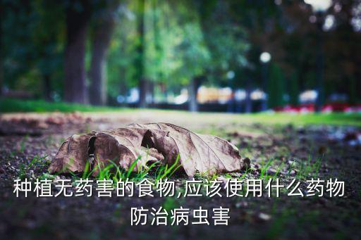 種植無藥害的食物,應該使用什么藥物防治病蟲害