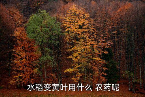  水稻變黃葉用什么 農(nóng)藥呢