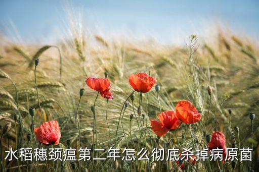 穗勁瘟用什么農藥,農藥碧穗防治什么病