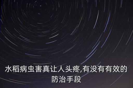 水稻病蟲害真讓人頭疼,有沒有有效的防治手段