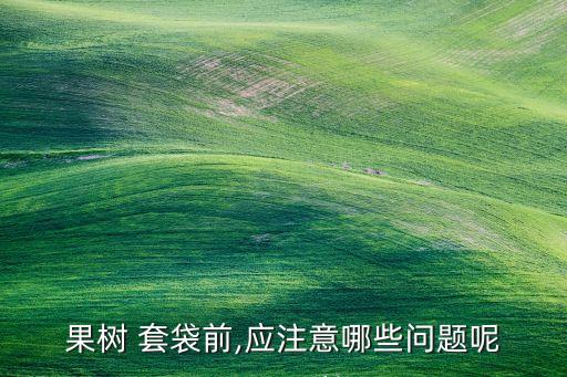 冬季套袋以前打什么農藥