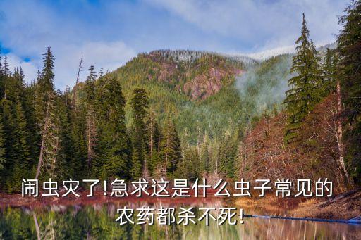 鬧蟲災了!急求這是什么蟲子常見的 農藥都殺不死!