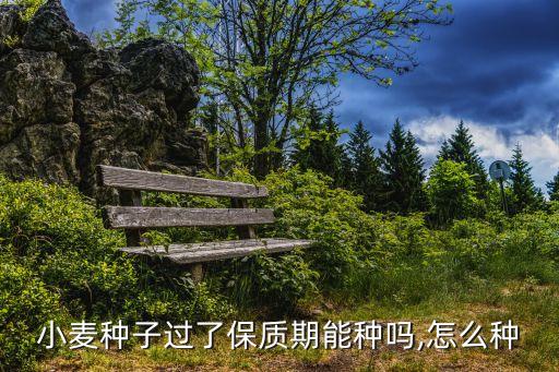 麥子種農藥需要什么手續,什么農藥可以打死麥子