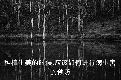 種姜主要用什么農(nóng)藥,種玉米打什么農(nóng)藥