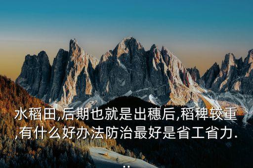 水田稻稗打什么農(nóng)藥,打水田用什么機(jī)器最好