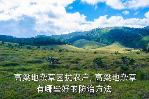 高粱地雜草困擾農(nóng)戶, 高粱地雜草有哪些好的防治方法