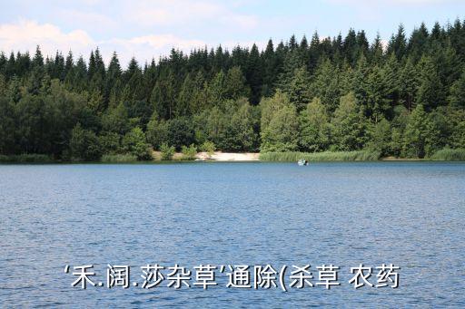 ‘禾.闊.莎雜草’通除(殺草 農藥