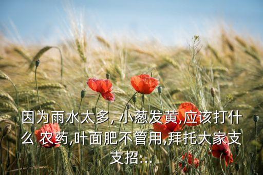 因為雨水太多, 小蔥發(fā)黃,應該打什么 農藥,葉面肥不管用,拜托大家支支招...