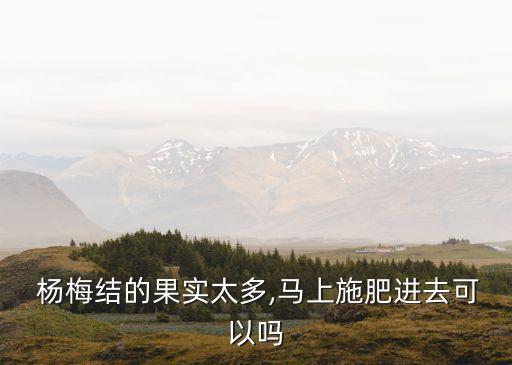 楊梅落果打什么農藥