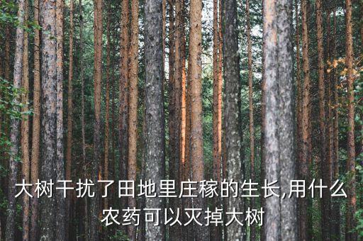 ,綠化樹苗殺蟲用什么農(nóng)藥