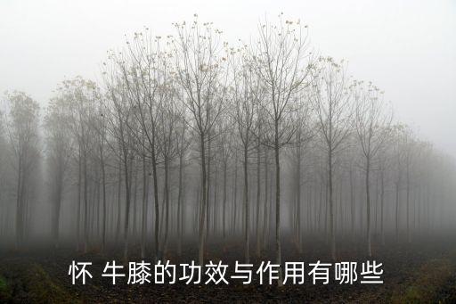 懷牛膝用什么農(nóng)藥