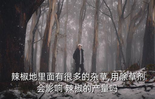 辣椒打農(nóng)藥有什么用處,打辣椒農(nóng)藥什么時(shí)間打效果好