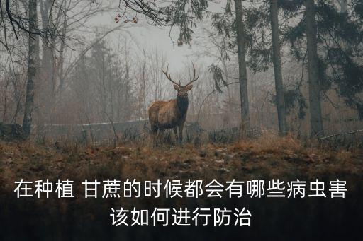 什么農(nóng)藥殺甘蔗蟲最有效,甘蔗不能用什么農(nóng)藥