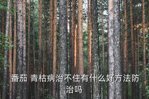 番茄青枯病用什么農藥,防治番茄青枯病的新農藥