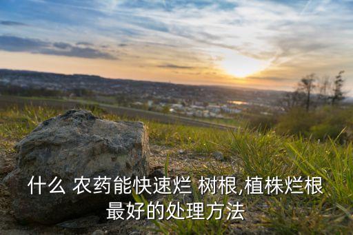 什么 農藥能快速爛 樹根,植株爛根最好的處理方法