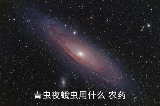 青蟲夜蛾蟲用什么 農藥