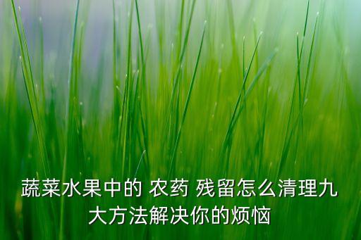 蔬菜水果中的 農(nóng)藥 殘留怎么清理九大方法解決你的煩惱