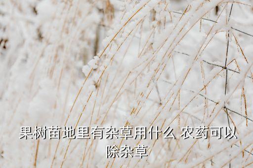 果樹澆水后用什么農藥,夏天果樹澆水什么時間為好