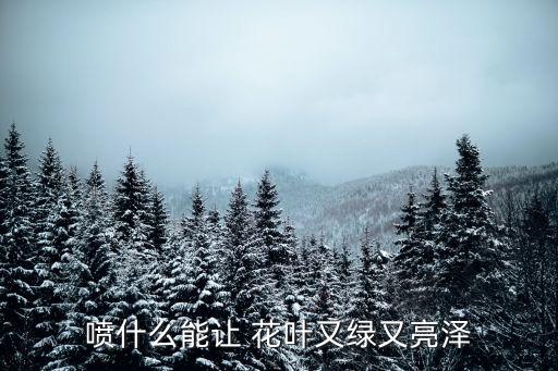 花葉打什么農(nóng)藥,辣椒爛葉用什么農(nóng)藥好