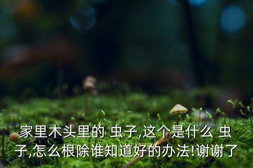 什么農(nóng)藥能殺死鼠婦蟲子,什么東西可以殺死鼠婦