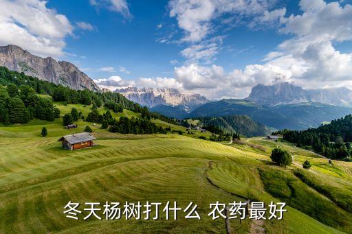 冬天楊樹打什么 農藥最好