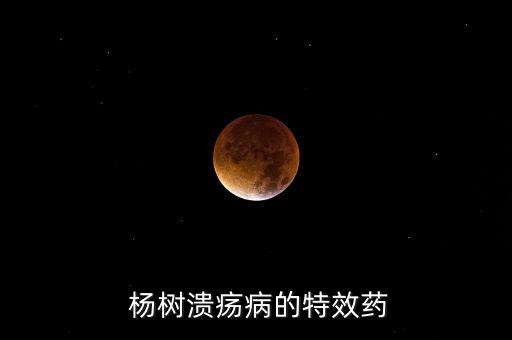  楊樹潰瘍病的特效藥