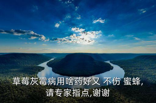 用什么農(nóng)藥不傷蜜蜂的藥,蜜蜂對什么農(nóng)藥比較過敏