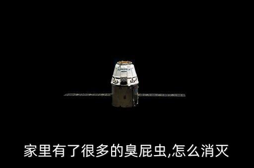 什么農(nóng)藥能殺死嗅屁蟲,用什么農(nóng)藥可以將樹木殺死