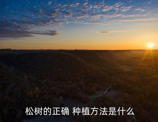 種植松樹(shù)用什么農(nóng)藥好,黑龍江適合種植什么松樹(shù)