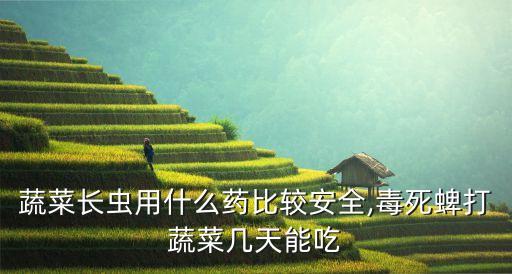 蔬菜長蟲用什么藥比較安全,毒死蜱打蔬菜幾天能吃