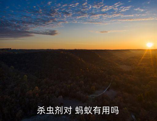 噴灑什么農藥殺螞蟻,什么農藥殺螞蟻最有效