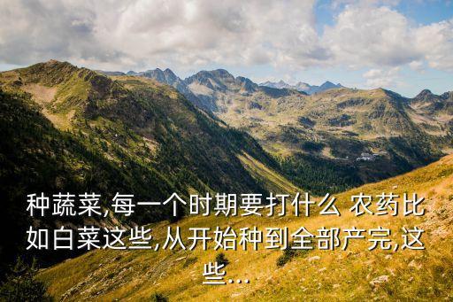 種蔬菜,每一個(gè)時(shí)期要打什么 農(nóng)藥比如白菜這些,從開始種到全部產(chǎn)完,這些...