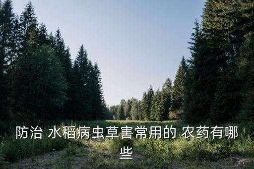 水稻收穗期打什么農藥,水稻穗肥