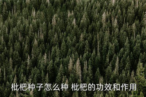 枇杷果樹打什么農藥,枇杷花期用什么農藥