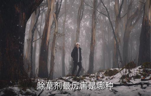 除草劑最厲害是哪種