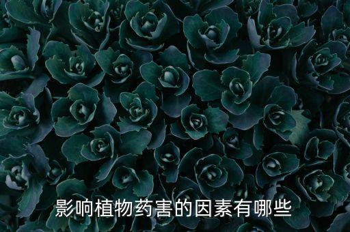 影響植物藥害的因素有哪些