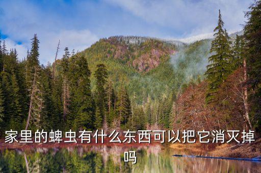 家里的蜱蟲有什么東西可以把它消滅掉嗎