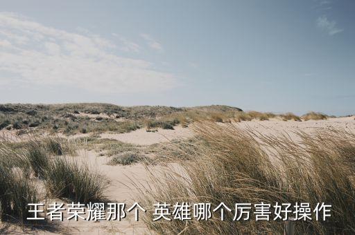 王者農(nóng)藥什么英雄好,王者打農(nóng)藥什么意思