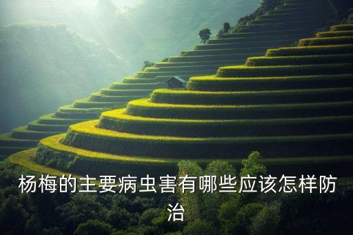 治療楊梅落葉病用什么農藥,斑點落葉病用什么藥治療