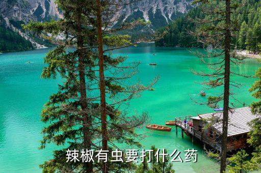 辣椒果實噴什么農藥好用,辣椒花期打什么農藥