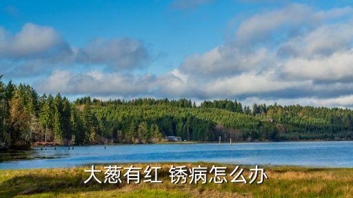 蔥得銹病打什么農藥,銹病用什么農藥最好