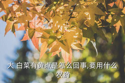 白菜都打什么農藥,白菜打什么農藥山兔子不吃了