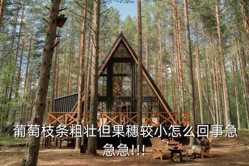 葡萄缺錳打什么農藥,葡萄大小粒是缺什么肥