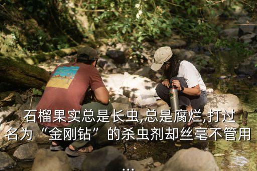 石榴果實(shí)總是長(zhǎng)蟲,總是腐爛,打過名為“金剛鉆”的殺蟲劑卻絲毫不管用...