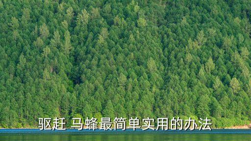 驅(qū)趕 馬蜂最簡(jiǎn)單實(shí)用的辦法