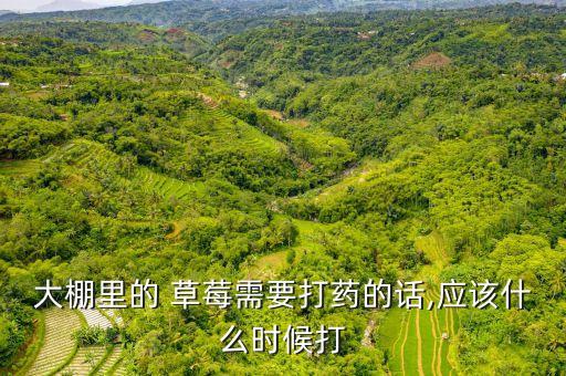 ,草莓地打什么農(nóng)藥