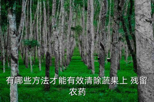 有哪些方法才能有效清除蔬果上 殘留 農藥