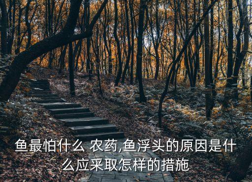 什么農藥能藥魚,藥魚用什么農藥最好無毒